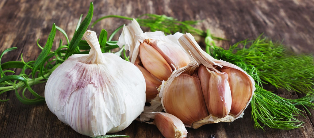 Garlic - An Essential Ingredient